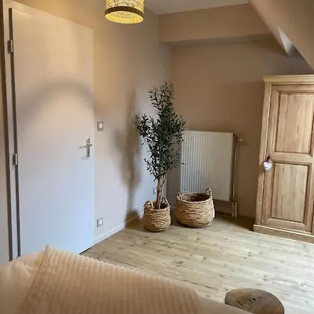 Le P'tit Bretzel Apartamento